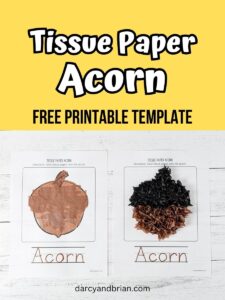 Tissue Paper Acorn Craft template