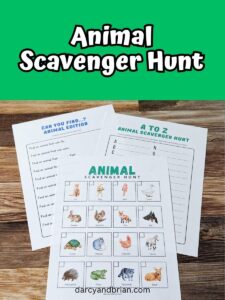 Animal Scavenger Hunt