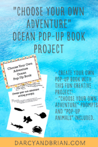 Ocean Pop Up Book