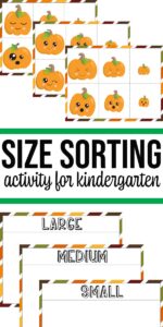 Pumpkin Size Sorting