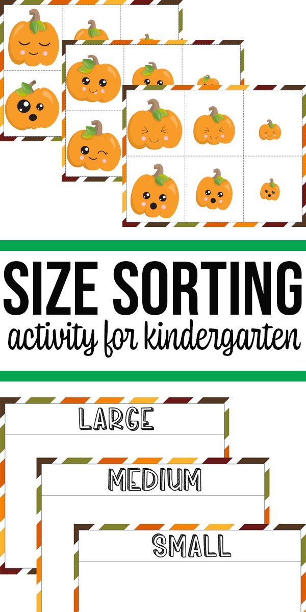 Pumpkin Size Sorting - Darcy and Brian - Shop