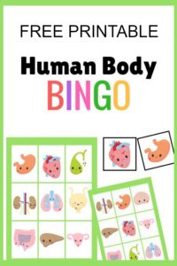 Human Body Bingo