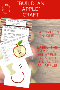 Parts of an Apple Printable Pack