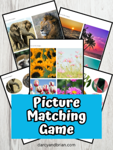 Real Picture Matching Game