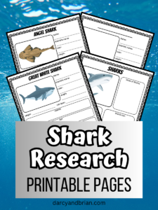 Shark Research Worksheets