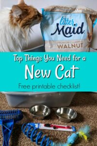 New Cat Essentials Checklist & Care Tracker