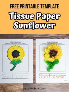 Tissue Paper Sunflower Craft Template