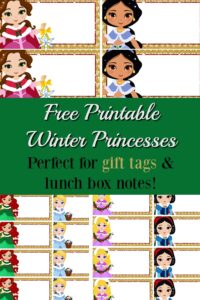 Holiday Princess Lunch Box Notes or Gift Tags