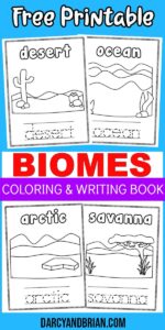 Biomes Coloring Pages