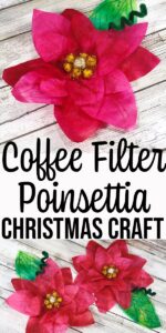 Coffee Filter Poinsettia Pattern