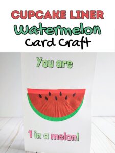 1 in a Melon Card Craft