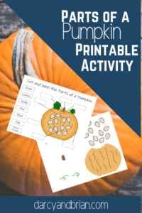 Parts of a Pumpkin Printable Pack