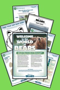 Preview of Disneynature Bears Activity Packet.