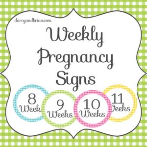 Weekly Pregnancy Bump Photo Stickers