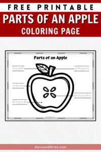 Parts of an Apple Coloring Page