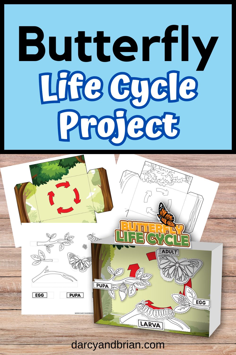 Life Cycle of Butterfly Project (Diorama) - Darcy and Brian - Shop